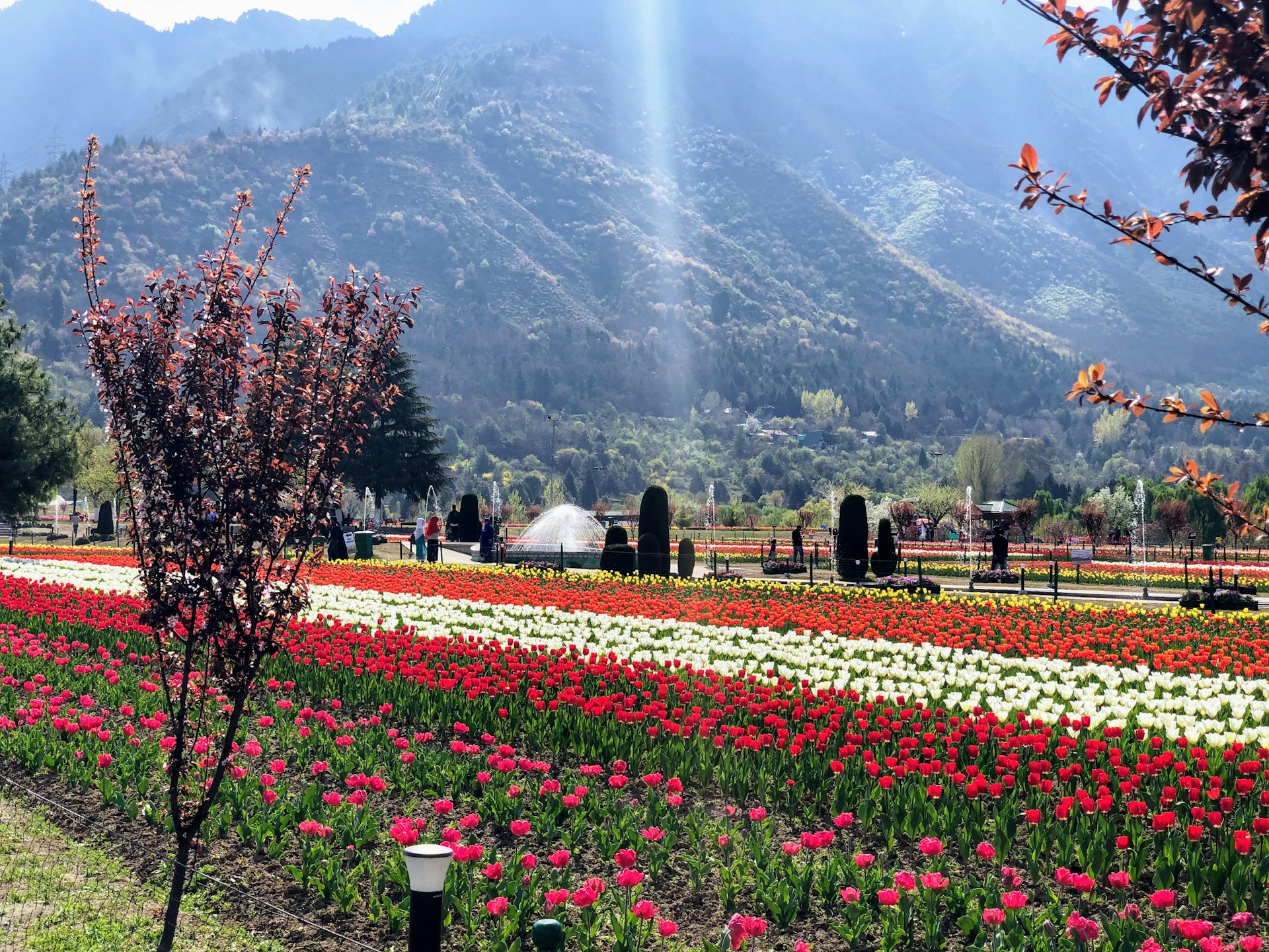 Dal Lake with houseboats and mountains in Kashmir